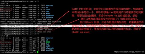 chmod: changing permissions of operation not permitted|root权限下修改文件权限遇到 chmod: changing permissions of '***': Operation not .